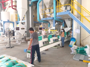 Bột sữa tôm A- FEED